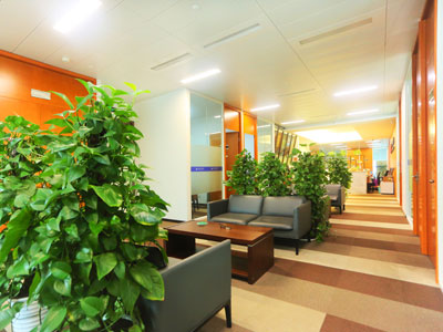 广州行政诉讼律师